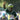 A Green Revolution: Biniam Girmay's Historic Tour de France Triumph