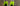 FLUORO YELLOW - WOMEN'S